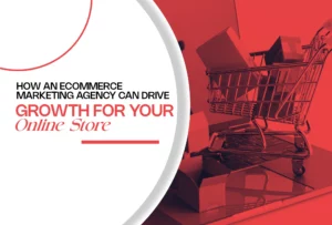 ecommerce marketing agency for online store