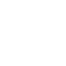 Specialized SEO Plans